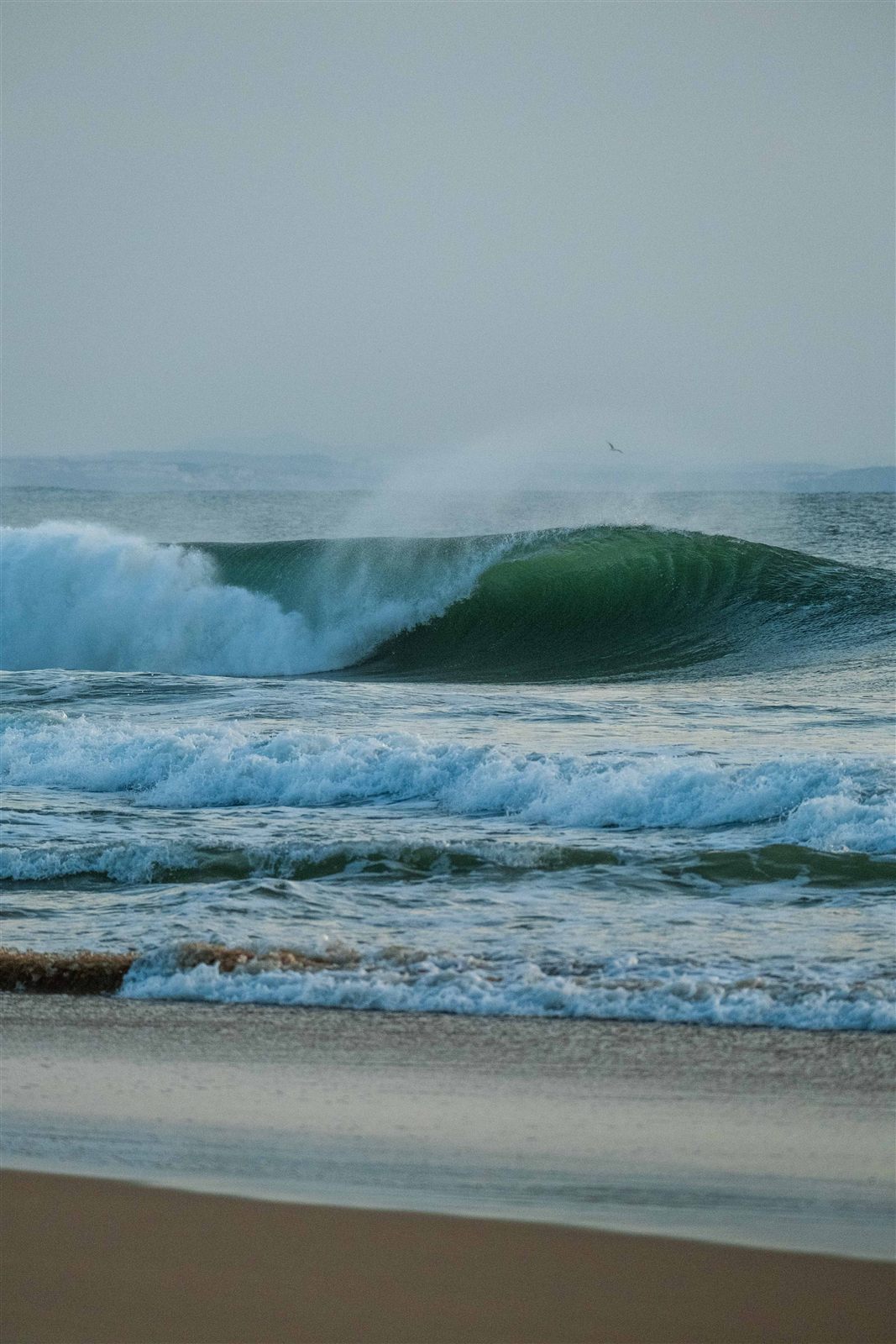 Perfect waves at dawn