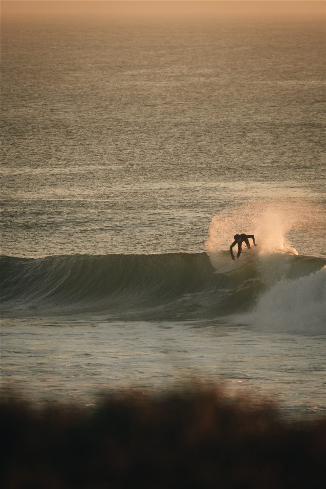 Surfers heading into the water